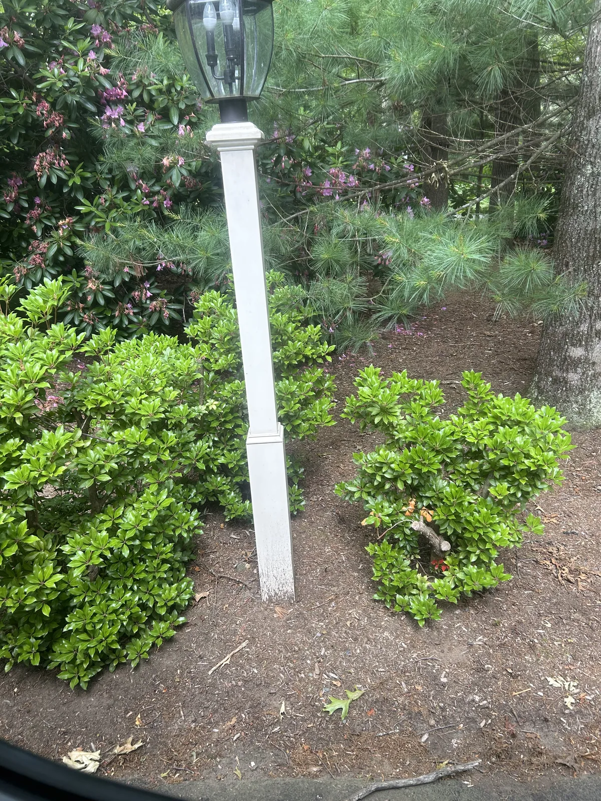 Lighting by PowerPlus Electric in Madison, CT